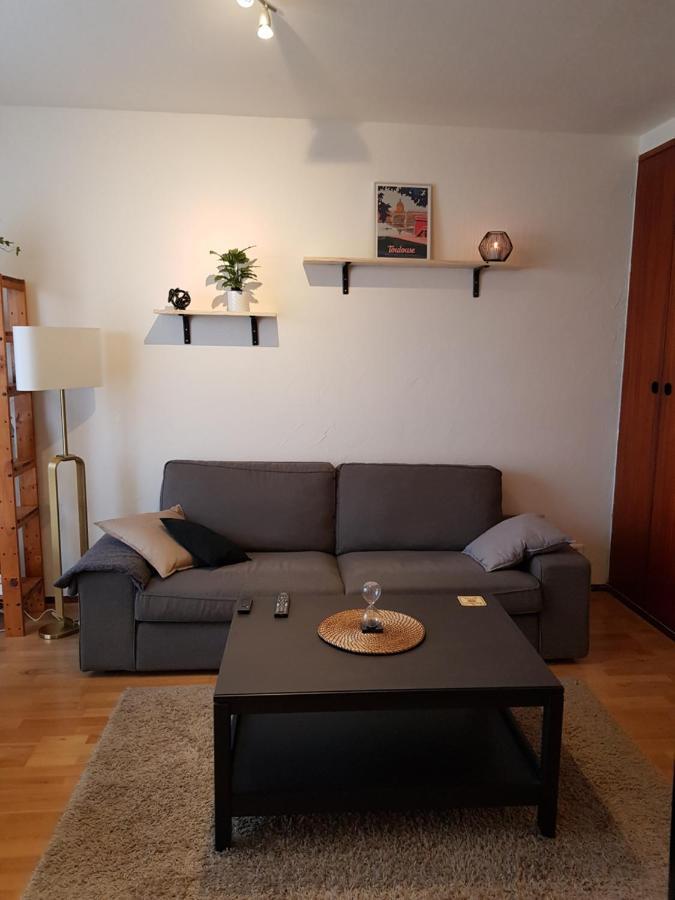 Superbe Appartement En Residence Avec Parking Тулуза Екстер'єр фото